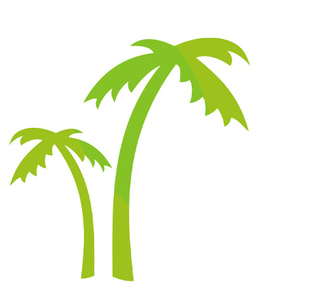 Palm