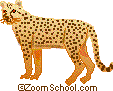 All About Mammals