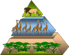 Food Chains